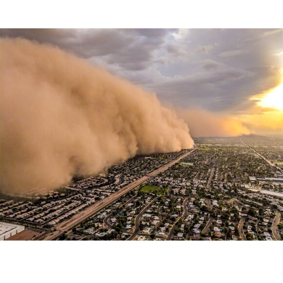 Arizona Diamondbacks 2019 Haboob Globe - Picture 2 of 10